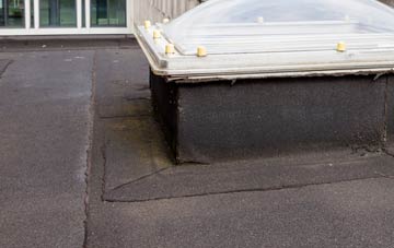 disadvantages of West Sandford flat roofs