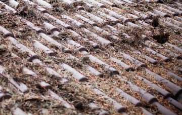 West Sandford roof cleaning companies